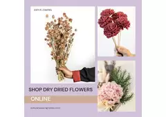 Shop Dry Dried Flowers Online Best Offers more then 50% OFF