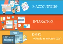 Accounting Course in Delhi, 110032, SLA Accounting Institute, SAP FICO and Tally Prime