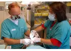 Leading Dental Clinic Collingwood - Expert Care Guaranteed