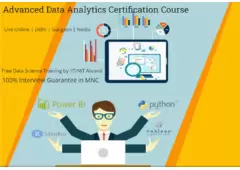 Best Data Analyst Training Course in Delhi, 110062. Best Online Live Data Analyst Training