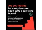 $900 Daily with Just 2 Hours? It’s Not a Dream!