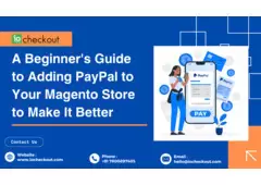 A Beginner's Guide to Adding PayPal to Your Magento Store to Make It Better