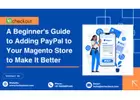 A Beginner's Guide to Adding PayPal to Your Magento Store to Make It Better