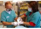 Expert Dentist in Collingwood | Comprehensive Dental Care Services