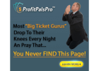 Online Automated Business, Make 100 % Profits