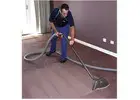 Expert Flood Carpet Cleaning Melbourne – Fast & Efficient Service