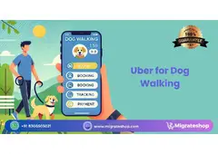 How to Build a Dog Walking App like Uber