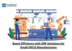 End-to-End ERP for Thriving Industries and Companies with HostBooks