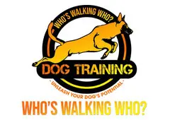 Who's Walking Who? Dog Training Utah