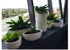 Affordable Plant Hire in Melbourne