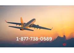 https://**********jungleworks.com/t/delta-airlines-como-hablar-directamente-con