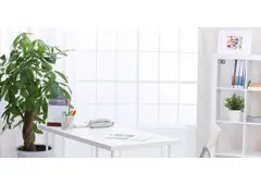 Revitalize Your Workspace with Office Plants Melbourne