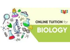 Biology Tuition: Expert Tutors for Personalized Learning