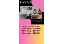 Digital Marketing Business $100 to $300 a Day