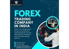 Choosing the Right Forex Trading Company in India for Success