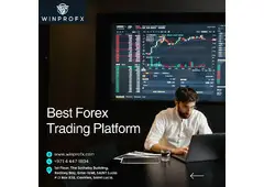 Choosing the Best Forex Trading Platform for Your Needs