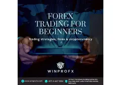 A Beginner’s Guide to Forex Trading: Start Your Journey Today