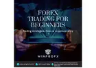 A Beginner’s Guide to Forex Trading: Start Your Journey Today