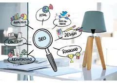 Professional SEO Services Agency