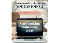 Discover How to Earn $10,000 Monthly with Just 2 Hours a Day! Free Guide!